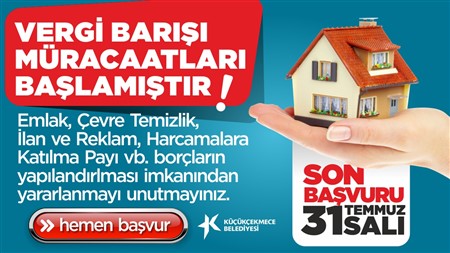VERGİ BARIŞI
