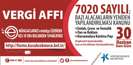 Vergi Affı